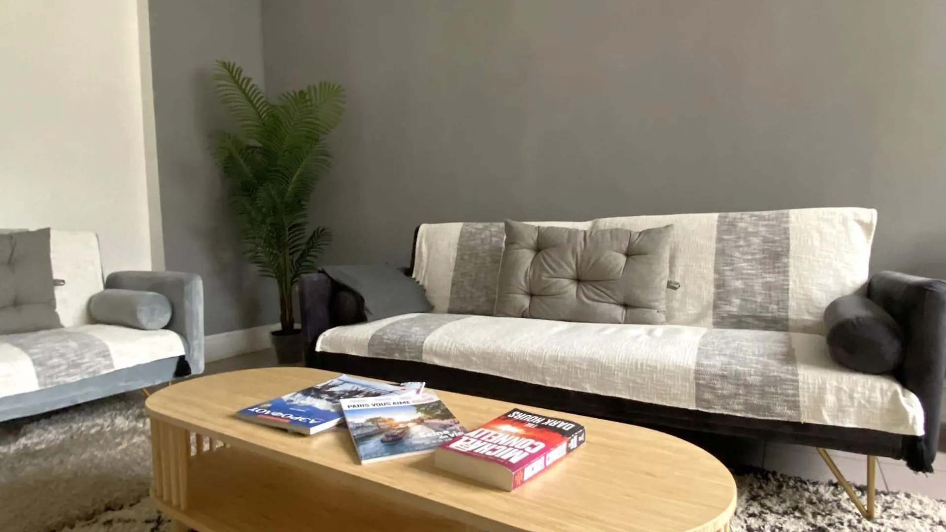 Des Champs Elysees Apartment
